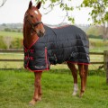 Gallop Trojan 200g Std Stable